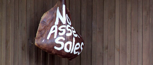 Waitangi Day, Waiheke Island